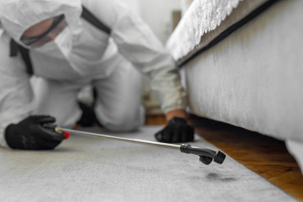 Professional Bed Bug Control technician working in Beulah, ND